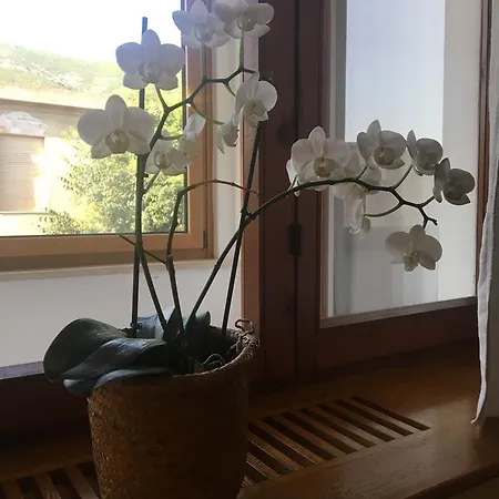 Guest house Maeva Muravera