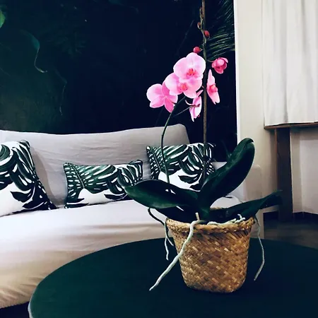 Guest house Maeva Muravera